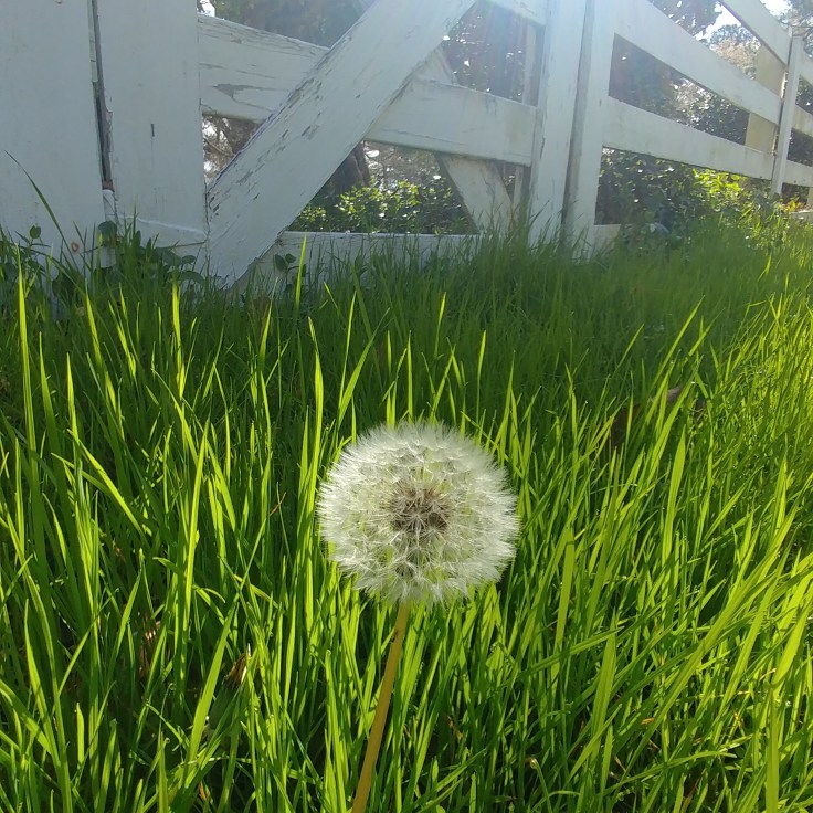 IMG_20170227_104158_486