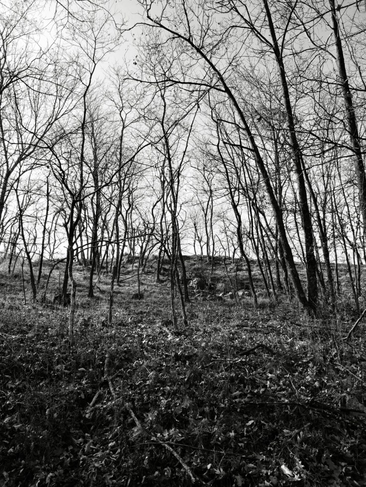 1FFD34ED-0C2A-4AE5-AFA1-3395822157AA