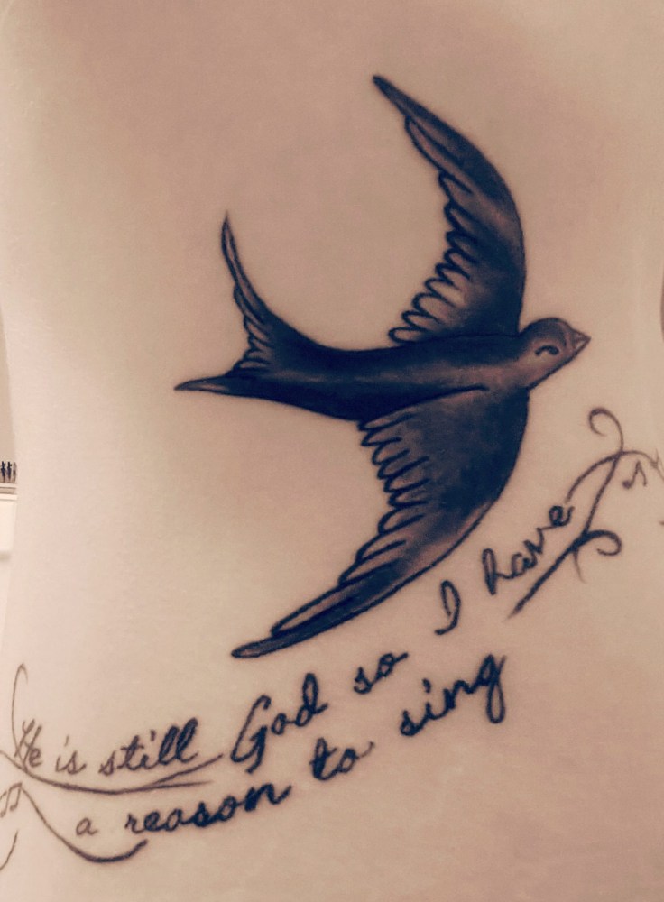 804AD897-A6D6-48E2-83A3-92567321A7D2