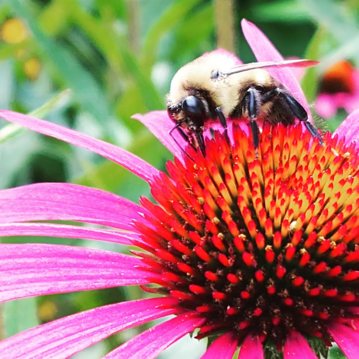 6D692533-666D-4702-BD17-B51F47EF3CE6